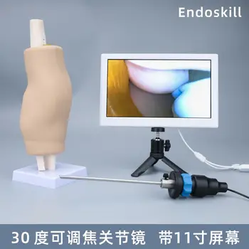 30 fokos állítható arthroscope articulatio genus műtét Szimulációs képzési modell artroszkópos műtét